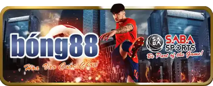 Thông tin tự động thu thập từ nền tảng Waybet